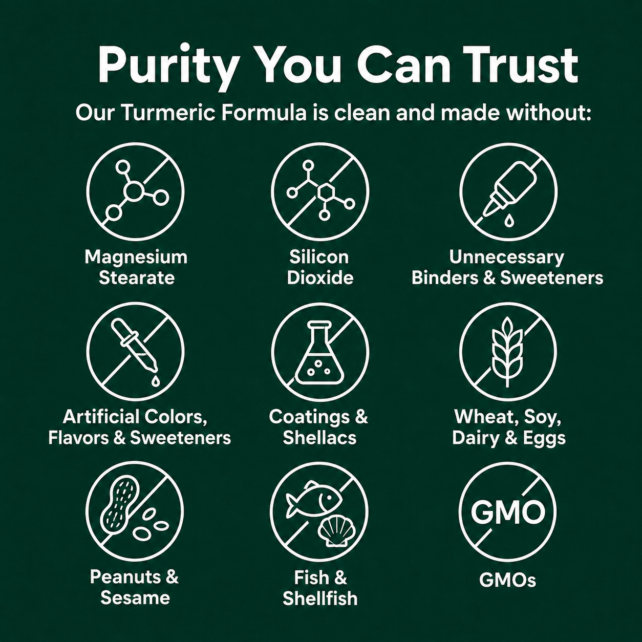 Move More Comfortably with Turmeric Curcumin (1,000mg)